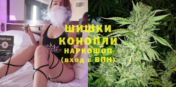 трава Арсеньев