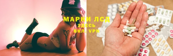 трава Арсеньев