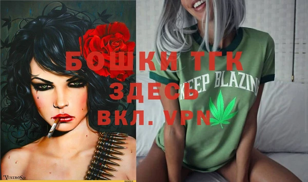 гидра Аркадак