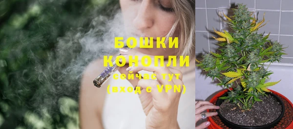 трава Арсеньев