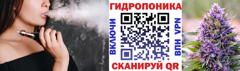 купить наркоту  Барыш  Бошки марихуана семена 